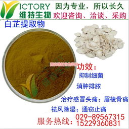 白芷提取物與西安維特生物科技的創(chuàng)新實(shí)踐