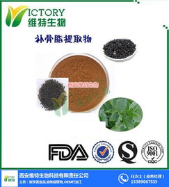 百合提取物 西安維特生物科技的高品質(zhì)生物技術(shù)產(chǎn)品