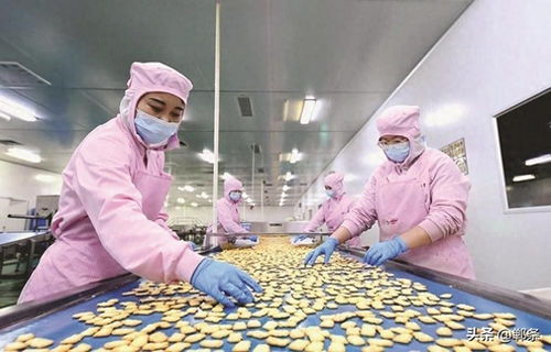 生物技術(shù)驅(qū)動(dòng)邱縣食品產(chǎn)業(yè)新圖景 創(chuàng)新、升級(jí)與可持續(xù)發(fā)展